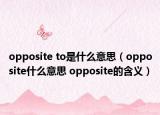 opposite to是什么意思（opposite什么意思 opposite的含义）