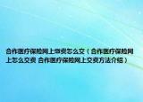 合作医疗保险网上缴费怎么交（合作医疗保险网上怎么交费 合作医疗保险网上交费方法介绍）