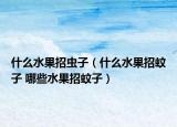 什么水果招虫子（什么水果招蚊子 哪些水果招蚊子）