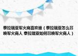 泰拉瑞亚军火商喜欢谁（泰拉瑞亚怎么召唤军火商人 泰拉瑞亚如何召唤军火商人）