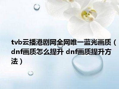 tvb云播港剧网全网唯一蓝光画质（dnf画质怎么提升 dnf画质提升方法）