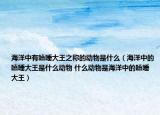 海洋中有瞌睡大王之称的动物是什么（海洋中的瞌睡大王是什么动物 什么动物是海洋中的瞌睡大王）