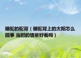 骆驼的驼背（骆驼背上的太阳怎么回事 当时的情景好看吗）
