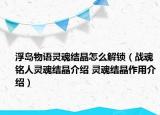 浮岛物语灵魂结晶怎么解锁（战魂铭人灵魂结晶介绍 灵魂结晶作用介绍）