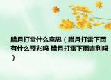 腊月打雷什么意思（腊月打雷下雨有什么预兆吗 腊月打雷下雨吉利吗）