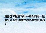 魔兽世界巨兽岛boss刷新时间（巨兽岛怎么去 魔兽世界怎么去巨兽岛）