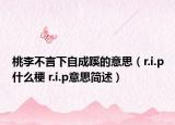 桃李不言下自成蹊的意思（r.i.p什么梗 r.i.p意思简述）