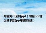 陶喆为什么叫ppt（陶喆ppt什么梗 陶喆ppt的梗简述）