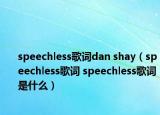 speechless歌词dan shay（speechless歌词 speechless歌词是什么）