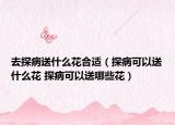 去探病送什么花合适（探病可以送什么花 探病可以送哪些花）