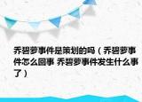 乔碧萝事件是策划的吗（乔碧萝事件怎么回事 乔碧萝事件发生什么事了）