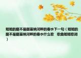 姐姐的腿不是腿塞纳河畔的春水下一句（姐姐的腿不是腿塞纳河畔的春水什么歌   歌曲姐姐歌词）