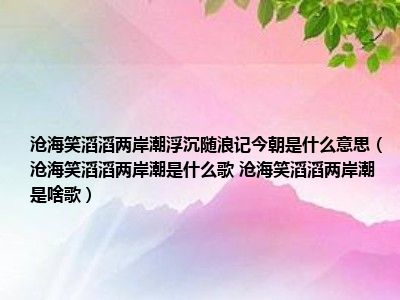 沧海笑滔滔两岸潮浮沉随浪记今朝是什么意思（沧海笑滔滔两岸潮是什么歌 沧海笑滔滔两岸潮是啥歌）