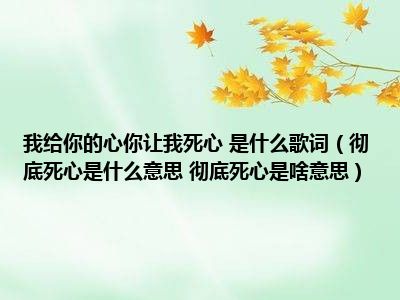 我给你的心你让我死心 是什么歌词（彻底死心是什么意思 彻底死心是啥意思）