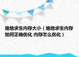 绝地求生内存大小（绝地求生内存如何正确优化 内存怎么优化）
