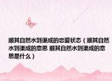 顺其自然水到渠成的恋爱状态（顺其自然水到渠成的意思 顺其自然水到渠成的意思是什么）