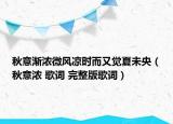秋意渐浓微风凉时而又觉夏未央（秋意浓 歌词 完整版歌词）