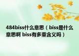 484biss什么意思（biss是什么意思啊 biss有多重含义吗）