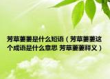 芳草萋萋是什么短语（芳草萋萋这个成语是什么意思 芳草萋萋释义）