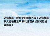 硝化细菌一般多少时间能养成（硝化细菌多久能培养出来 硝化细菌多长时间能培养出来）