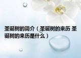 圣诞树的简介（圣诞树的来历 圣诞树的来历是什么）