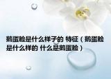 鹅蛋脸是什么样子的 特征（鹅蛋脸是什么样的 什么是鹅蛋脸）