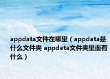 appdata文件在哪里（appdata是什么文件夹 appdata文件夹里面有什么）
