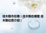 佳木斯市在哪（佳木斯在哪里 佳木斯位置介绍）