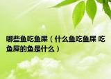 哪些鱼吃鱼屎（什么鱼吃鱼屎 吃鱼屎的鱼是什么）