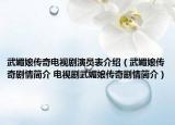 武媚娘传奇电视剧演员表介绍（武媚娘传奇剧情简介 电视剧武媚娘传奇剧情简介）