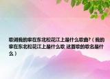 歌词我的家在东北松花江上是什么歌曲?（我的家在东北松花江上是什么歌 这首歌的歌名是什么）