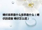 蜷伏意思是什么意思是什么（蜷伏的读音 蜷伏怎么读）