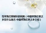 性早熟打抑制针的利弊（中国早熟红枣之乡在什么地方 中国早熟红枣之乡介绍）