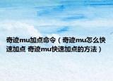 奇迹mu加点命令（奇迹mu怎么快速加点 奇迹mu快速加点的方法）