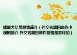蜂巢大结局剧情简介（外交官黑田康作电视剧简介 外交官黑田康作剧情是怎样的）
