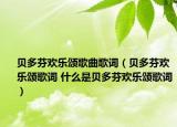 贝多芬欢乐颂歌曲歌词（贝多芬欢乐颂歌词 什么是贝多芬欢乐颂歌词）