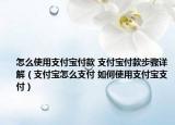 怎么使用支付宝付款 支付宝付款步骤详解（支付宝怎么支付 如何使用支付宝支付）