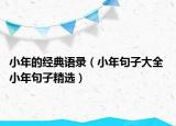 小年的经典语录（小年句子大全 小年句子精选）
