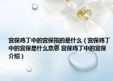 宫保鸡丁中的宫保指的是什么（宫保鸡丁中的宫保是什么意思 宫保鸡丁中的宫保介绍）