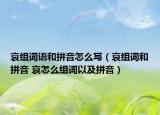 哀组词语和拼音怎么写（哀组词和拼音 哀怎么组词以及拼音）
