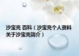 沙宝亮 百科（沙宝亮个人资料 关于沙宝亮简介）
