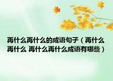 再什么再什么的成语句子（再什么再什么 再什么再什么成语有哪些）