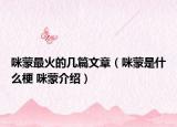 咪蒙最火的几篇文章（咪蒙是什么梗 咪蒙介绍）