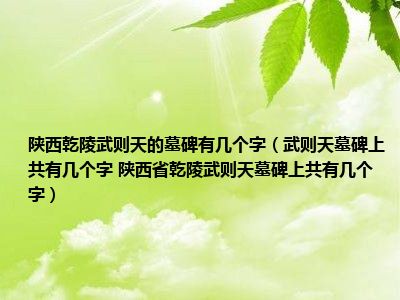 陕西乾陵武则天的墓碑有几个字（武则天墓碑上共有几个字 陕西省乾陵武则天墓碑上共有几个字）