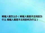 蝙蝠入屋怎么办（蝙蝠入屋是不吉利的为什么 蝙蝠入屋是不吉利的吗为什么）