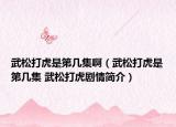 武松打虎是第几集啊（武松打虎是第几集 武松打虎剧情简介）