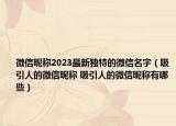 微信昵称2023最新独特的微信名字（吸引人的微信昵称 吸引人的微信昵称有哪些）