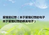 爱情里幻想（关于爱情幻想的句子 关于爱情幻想的唯美句子）