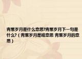 青葱岁月是什么意思?青葱岁月下一句是什么?（青葱岁月是啥意思 青葱岁月的意思）