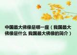 中国最大佛像是哪一座（我国最大佛像是什么 我国最大佛像的简介）